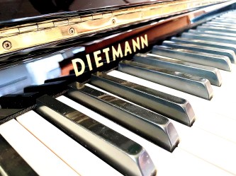 dietmann2