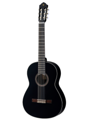 guitare/CGG-142SBL