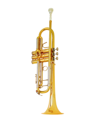 Trompette BS 3137-1-0