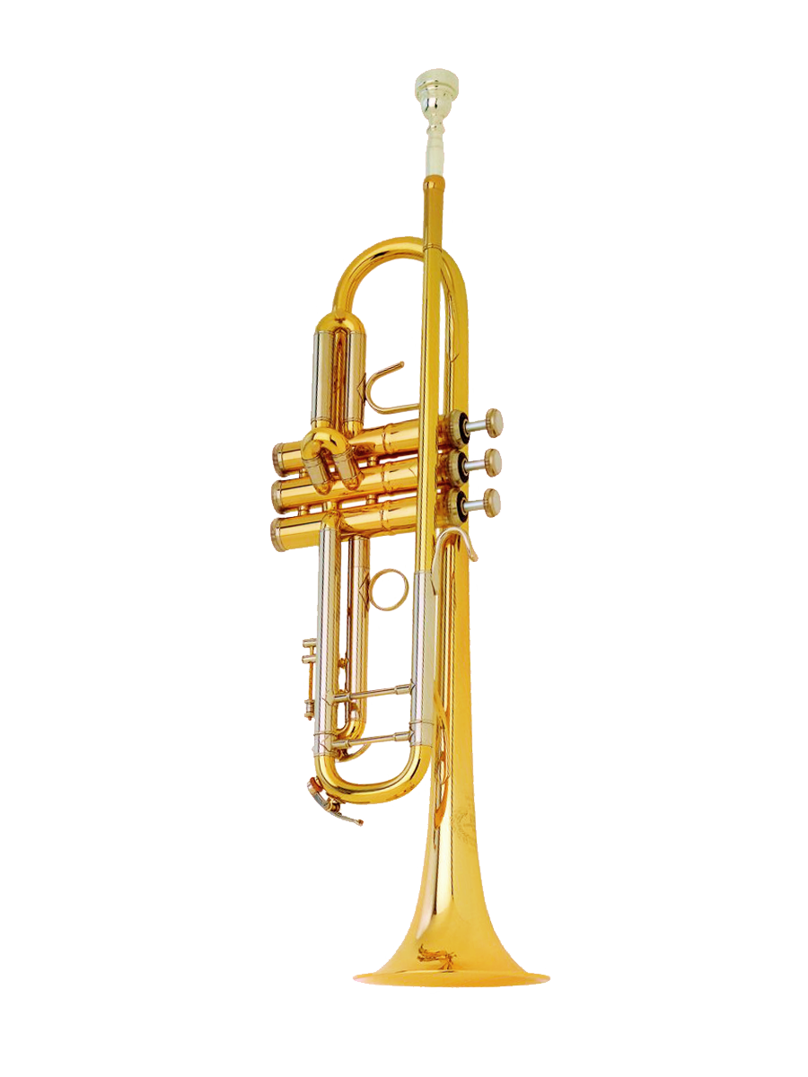 Trompette BS 3137-1-0